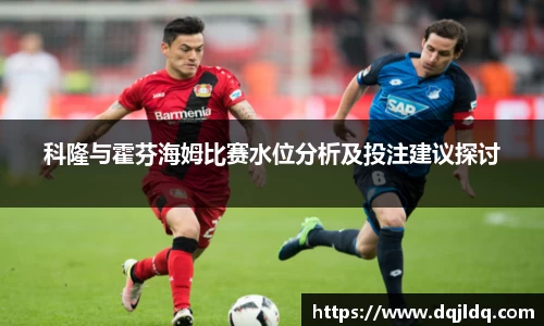 科隆与霍芬海姆比赛水位分析及投注建议探讨